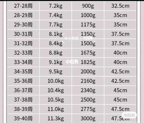 胎儿27周体重多少正常(胎儿27周体重多少正常值是多少) 第2张 胎儿27周体重多少正常(胎儿27周体重多少正常值是多少) 第2张