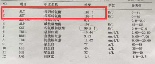 孕期转氨酶高是怎么回事(孕期转氨酶高是怎么回事有什么危害呢) 第1张 孕期转氨酶高是怎么回事(孕期转氨酶高是怎么回事有什么危害呢) 第1张