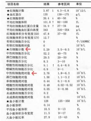 孕期白细胞高是什么原因(孕期检查白细胞过高,怎样才能降下来) 第2张 孕期白细胞高是什么原因(孕期检查白细胞过高,怎样才能降下来) 第2张