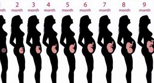 孕期四个月肚子有多大(怀孕四个月肚子大概有多大) 第1张 孕期四个月肚子有多大(怀孕四个月肚子大概有多大) 第1张