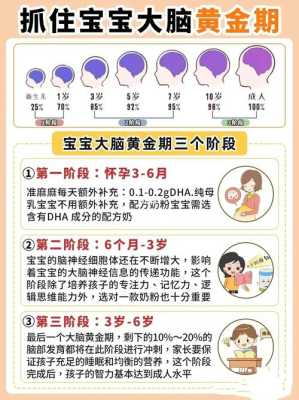 胎儿几个月开始发育大脑(胎儿几个月开始发育大脑智力) 第2张 胎儿几个月开始发育大脑(胎儿几个月开始发育大脑智力) 第2张