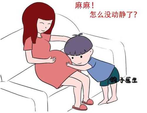 胎儿老是踢(怀孕6个月多几天,宝宝晚上猛踢肚子正常吗?动静也太大了) 第1张 胎儿老是踢(怀孕6个月多几天,宝宝晚上猛踢肚子正常吗?动静也太大了) 第1张