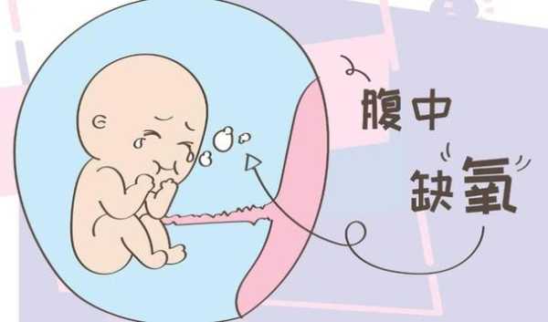 怎样会导致胎儿缺氧(胎儿缺氧最明显的征兆) 第1张 怎样会导致胎儿缺氧(胎儿缺氧最明显的征兆) 第1张