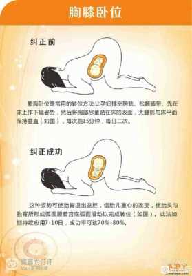 胎位多少周就固定了,头位胎动一般踢哪里  第1张