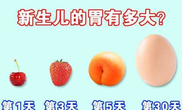 胎儿胃偏小(胎儿胃偏小怎么回事) 第2张 胎儿胃偏小(胎儿胃偏小怎么回事) 第2张