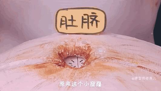 孕期可以扣肚脐眼吗（怀孕可以扣肚脐眼吗?）  第2张