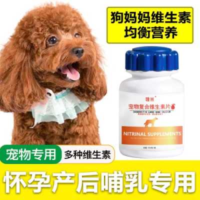 狗狗怀孕后吃什么好,怀孕期间吃什么对宝宝好又不长胖  第1张