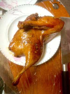 孕期吃鸭子(月子里能吃鸭肉么) 第1张 孕期吃鸭子(月子里能吃鸭肉么) 第1张