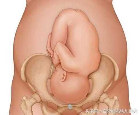胎儿头大可以顺产吗(胎儿头大可以顺产吗?) 第2张 胎儿头大可以顺产吗(胎儿头大可以顺产吗?) 第2张