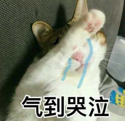 孕期被气哭(月经期老公怎是和我吵架,每次我都被气哭半天,这下去我身体会不会出现问题) 第2张 孕期被气哭(月经期老公怎是和我吵架,每次我都被气哭半天,这下去我身体会不会出现问题) 第2张
