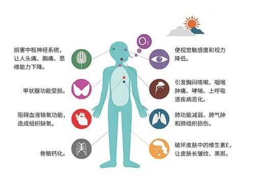 臭氧对胎儿(臭氧对胎儿有很大危害吗?) 第1张 臭氧对胎儿(臭氧对胎儿有很大危害吗?) 第1张