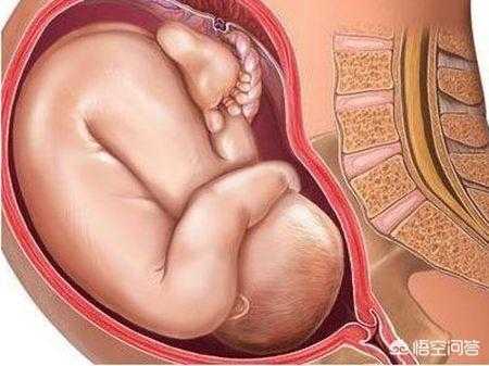 孕38周出生的孩子多吗?这个周期出生的宝宝护理要注意什么,胎儿38周图片 第3张 孕38周出生的孩子多吗?这个周期出生的宝宝护理要注意什么,胎儿38周图片 第3张