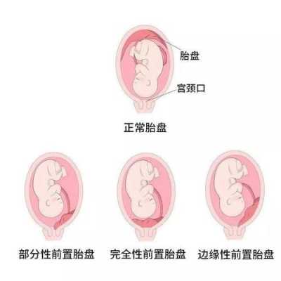 胎盘对胎儿的作用（胎盘从什么时候开始长？孕几周开始长胎盘呢）  第1张