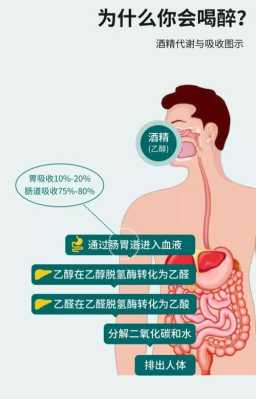 孕期少量酒(孕期少量酒精会怎么样) 第3张 孕期少量酒(孕期少量酒精会怎么样) 第3张