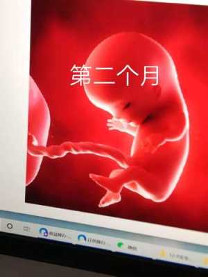 胎儿二月(胎儿二月怕什么) 第2张 胎儿二月(胎儿二月怕什么) 第2张