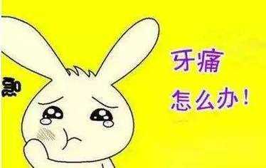 备孕期间牙疼能吃药治疗吗,备孕期间上火怎么办 第2张 备孕期间牙疼能吃药治疗吗,备孕期间上火怎么办 第2张
