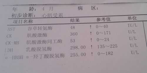 胎儿心肌(胎儿心肌炎能治愈吗) 第2张 胎儿心肌(胎儿心肌炎能治愈吗) 第2张
