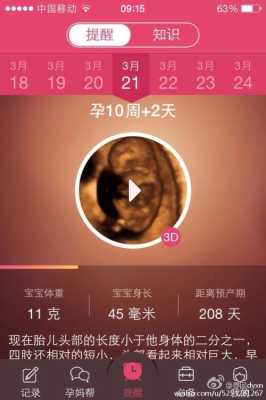 胎儿记录（胎儿记录app）  第1张