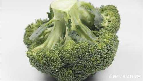 孕期西兰花(一小口西兰花大概多少克) 第2张 孕期西兰花(一小口西兰花大概多少克) 第2张