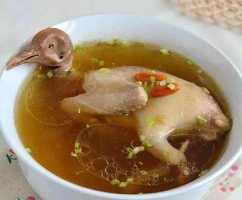 孕妇吃鸽子对胎儿好吗(孕妇吃鸽子对胎儿好吗有营养吗) 第2张 孕妇吃鸽子对胎儿好吗(孕妇吃鸽子对胎儿好吗有营养吗) 第2张