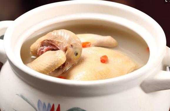 孕妇吃鸽子对胎儿好吗(孕妇吃鸽子对胎儿好吗有营养吗) 第1张 孕妇吃鸽子对胎儿好吗(孕妇吃鸽子对胎儿好吗有营养吗) 第1张