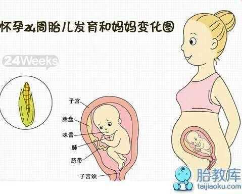 胎儿几个月最怕辐射(胎儿几个月最怕辐射和辐射) 第2张 胎儿几个月最怕辐射(胎儿几个月最怕辐射和辐射) 第2张