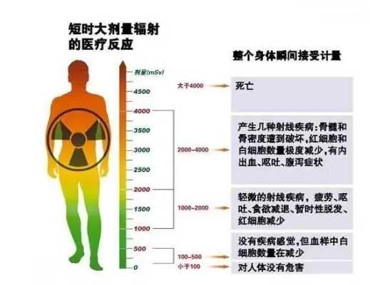 胎儿几个月最怕辐射(胎儿几个月最怕辐射和辐射) 第3张 胎儿几个月最怕辐射(胎儿几个月最怕辐射和辐射) 第3张