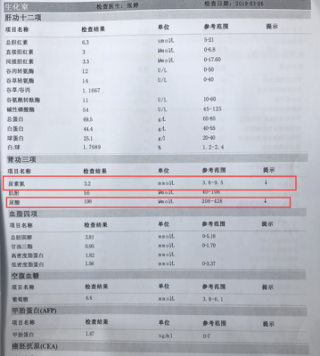 孕期尿素氮（孕期尿素氮低有什么影响）  第3张