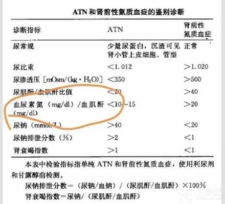 孕期尿素氮（孕期尿素氮低有什么影响）  第2张
