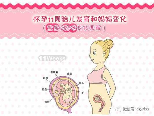 孕期示意图(孕妇示意图) 第1张 孕期示意图(孕妇示意图) 第1张