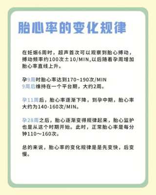 胎儿心率176正常吗(胎儿心率176正常吗为什么) 第2张 胎儿心率176正常吗(胎儿心率176正常吗为什么) 第2张