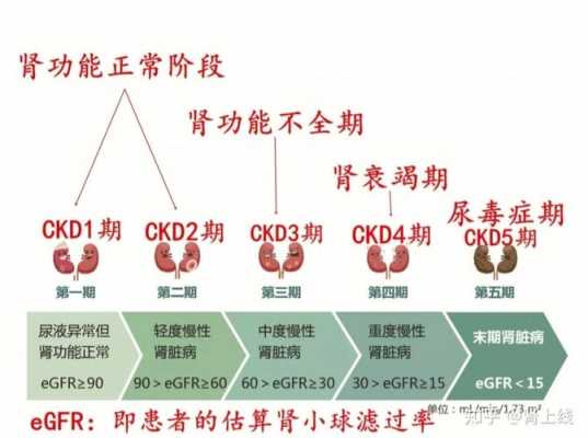 怀孕期间肾炎(怀孕期间肾炎对胎儿有影响吗?) 第1张 怀孕期间肾炎(怀孕期间肾炎对胎儿有影响吗?) 第1张