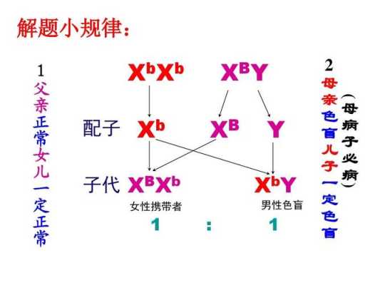 典型的父源性三倍体包括,胎儿三倍体是什么意思 第1张 典型的父源性三倍体包括,胎儿三倍体是什么意思 第1张
