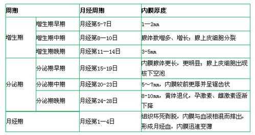 初期怀孕子宫内膜厚度多少正常,孕期子宫内膜厚度多少正常值 第1张 初期怀孕子宫内膜厚度多少正常,孕期子宫内膜厚度多少正常值 第1张