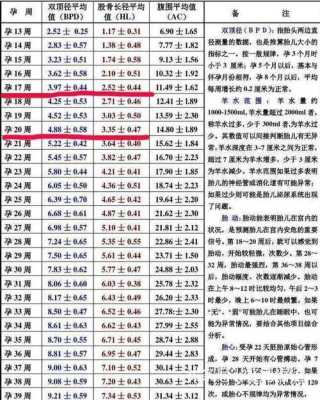 28周胎儿发育标准数据(孕28周,股骨长5.2cm正常吗) 第1张 28周胎儿发育标准数据(孕28周,股骨长5.2cm正常吗) 第1张