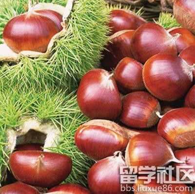 孕期血糖高能吃板栗吗（孕期血糖高能吃板栗吗?）  第2张