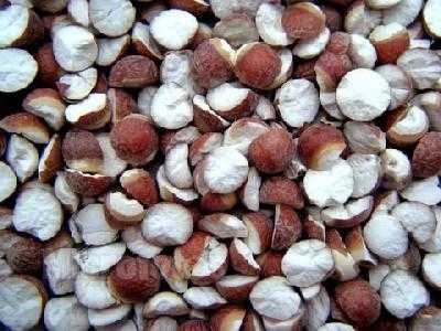 孕期芡实(孕期芡实可以吃吗) 第1张 孕期芡实(孕期芡实可以吃吗) 第1张