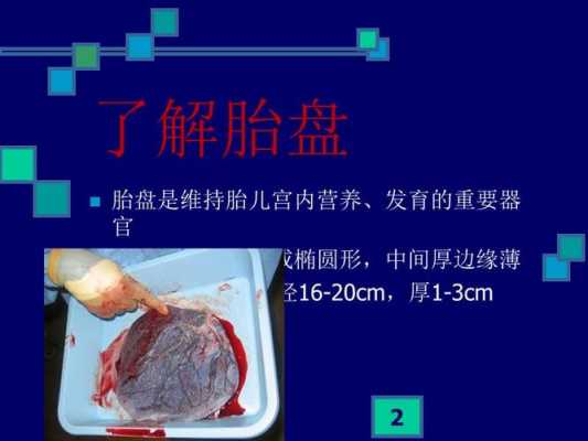 花园宝宝蓝色的叫什么,胎儿蓝色胎盘图片 第2张 花园宝宝蓝色的叫什么,胎儿蓝色胎盘图片 第2张