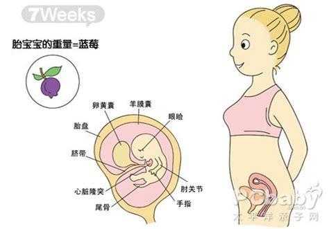 孕期6周(怀孕十三周加六是多少天了) 第2张 孕期6周(怀孕十三周加六是多少天了) 第2张