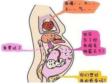 宫缩时胎儿动得厉害(宫缩对胎儿的影响有哪些) 第1张 宫缩时胎儿动得厉害(宫缩对胎儿的影响有哪些) 第1张