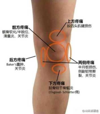 孕期膝盖痛(孕期膝盖痛什么原因) 第1张 孕期膝盖痛(孕期膝盖痛什么原因) 第1张