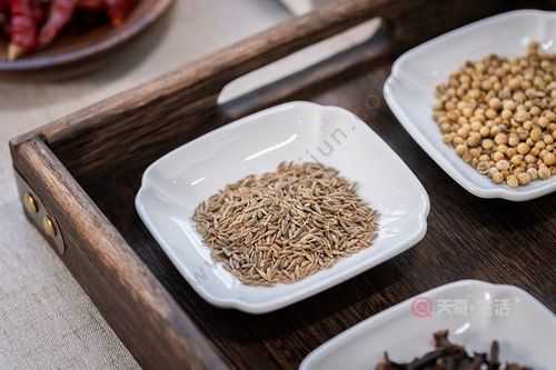 孕期吃孜然(孕期吃孜然好不好) 第3张 孕期吃孜然(孕期吃孜然好不好) 第3张
