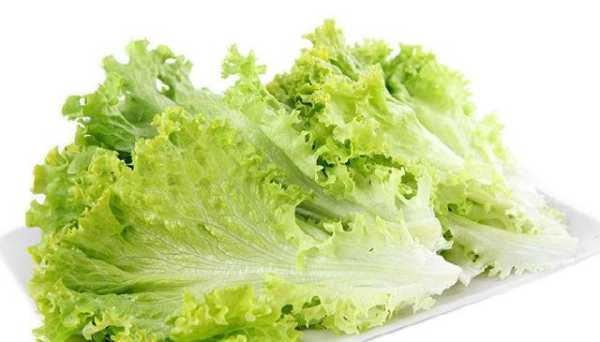 孕妇可以吃哪些青菜?怀孕期间可以吃哪些青菜补充维生素,孕期为什么不能吃生菜呢 第2张 孕妇可以吃哪些青菜?怀孕期间可以吃哪些青菜补充维生素,孕期为什么不能吃生菜呢 第2张