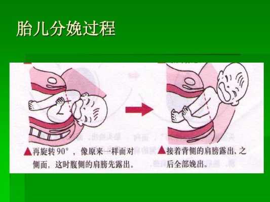胎儿顺产的条件（胎儿顺产的条件都有哪些）  第2张