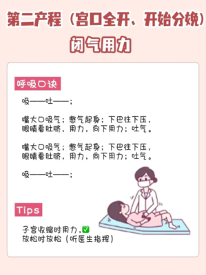 胎儿在腹中怎么呼吸(呼吸锅使用方法) 第3张 胎儿在腹中怎么呼吸(呼吸锅使用方法) 第3张