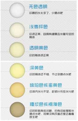 孕期尿液很黄是怎么回事,孕期尿发黄是什么原因 第2张 孕期尿液很黄是怎么回事,孕期尿发黄是什么原因 第2张
