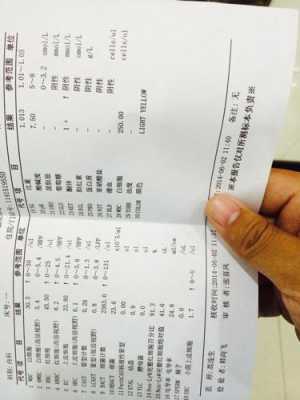 孕妇酮体2十是什么意思,孕期酮体2+严重吗 第1张 孕妇酮体2十是什么意思,孕期酮体2+严重吗 第1张