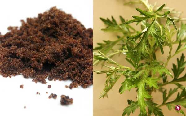 孕期能吃艾(现在怀孕期间能不能喝呢,喝艾叶水有些什么好处啊) 第2张 孕期能吃艾(现在怀孕期间能不能喝呢,喝艾叶水有些什么好处啊) 第2张