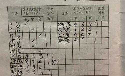 孕19周胎动频繁正常吗,孕19周胎儿发育标准值 第2张 孕19周胎动频繁正常吗,孕19周胎儿发育标准值 第2张