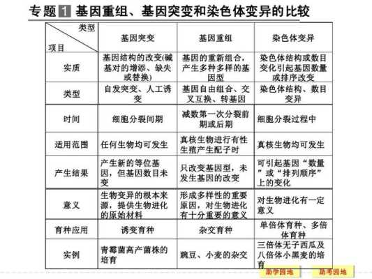 胎儿为什么会基因突变（基因变异是什么原因）  第2张